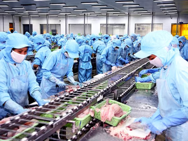 FTA Việt Nam - liên minh Á Âu: Cửa rộng nhưng không dễ vào ảnh 1 FTA Việt Nam - liên minh Á Âu: Cửa rộng nhưng không dễ vào ảnh 1
