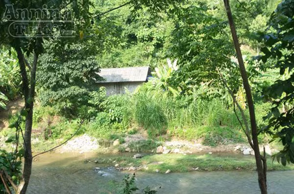 Vụ sát hại 4 người ở Yên Bái: Mẹ của nghi phạm bịt kín mặt tới khâm liệm cho nạn nhân ảnh 3 Vụ sát hại 4 người ở Yên Bái: Mẹ của nghi phạm bịt kín mặt tới khâm liệm cho nạn nhân ảnh 3