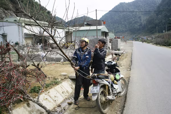 Tấp nập chợ đào rừng ven quốc lộ 6 ảnh 3