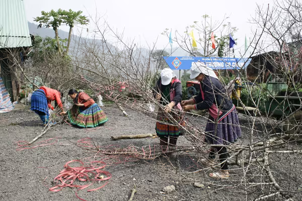 Tấp nập chợ đào rừng ven quốc lộ 6 ảnh 5