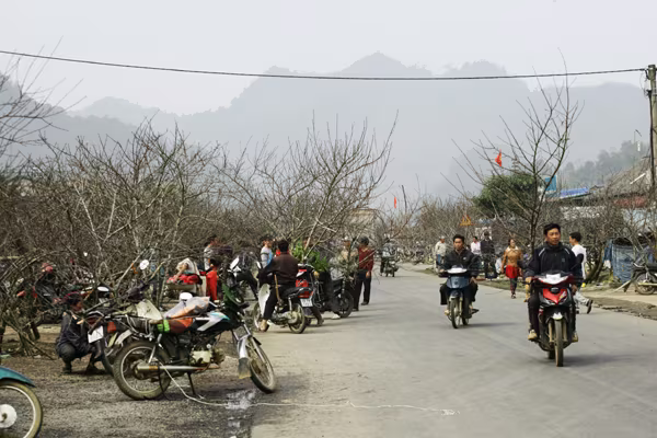 Tấp nập chợ đào rừng ven quốc lộ 6 ảnh 8