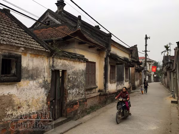 Ngỡ ngàng lạc vào ngôi làng toàn biệt thự 'Tây', gần trăm năm tuổi ảnh 11