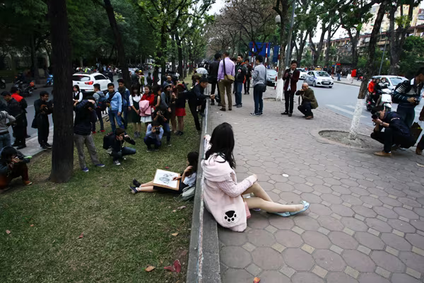 'Hot girl' Hà Nội đổ dồn về 'studio' Kim Mã, mùa cây thay lá  ảnh 6 'Hot girl' Hà Nội đổ dồn về 'studio' Kim Mã, mùa cây thay lá  ảnh 6