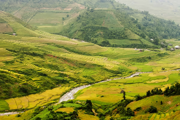 Mê mải Mù Cang Chải mùa lúa chín ảnh 8 Mê mải Mù Cang Chải mùa lúa chín ảnh 8