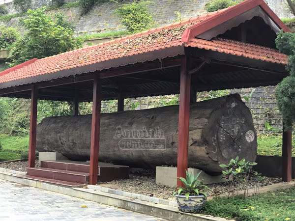 Cận cảnh ngôi nhà sàn gỗ lim trị giá 200 tỷ đồng, lớn nhất Việt Nam ảnh 2