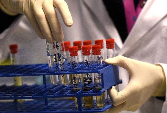 VĐV chủ nhà Malaysia sử dụng doping để giành HCV SEA Games ảnh 1 VĐV chủ nhà Malaysia sử dụng doping để giành HCV SEA Games ảnh 1