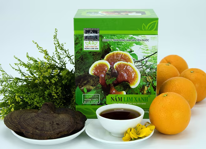 Nấm lim xanh rừng Tiên Phước có tác dụng chữa bệnh gì? ảnh 4 Nấm lim xanh rừng Tiên Phước có tác dụng chữa bệnh gì? ảnh 4