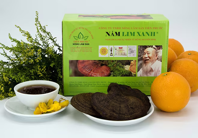 Nấm lim xanh rừng Tiên Phước có tác dụng chữa bệnh gì? ảnh 5 Nấm lim xanh rừng Tiên Phước có tác dụng chữa bệnh gì? ảnh 5