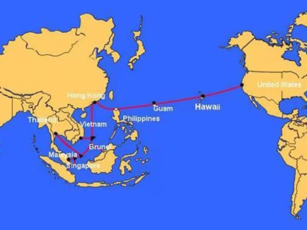 Sẽ khôi phục sự cố đứt cáp quang trong thời gian ngắn nhất ảnh 1