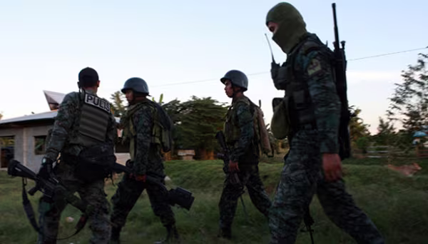 Hà Nội thay thế 6.700 cây xanh trên 190 tuyến phố ảnh 4 Hà Nội thay thế 6.700 cây xanh trên 190 tuyến phố ảnh 4