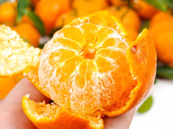 12 loại quả ăn vỏ còn tốt hơn ruột ảnh 1 12 loại quả ăn vỏ còn tốt hơn ruột ảnh 1