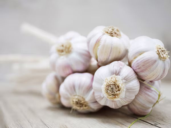 Những thực phẩm nói “KHÔNG” với tủ lạnh ảnh 1 Những thực phẩm nói “KHÔNG” với tủ lạnh ảnh 1