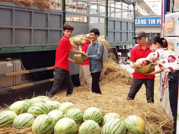 “Giải cứu” dưa hấu, hành tím: Không chỉ bằng “giải pháp tấm lòng” ảnh 1 “Giải cứu” dưa hấu, hành tím: Không chỉ bằng “giải pháp tấm lòng” ảnh 1