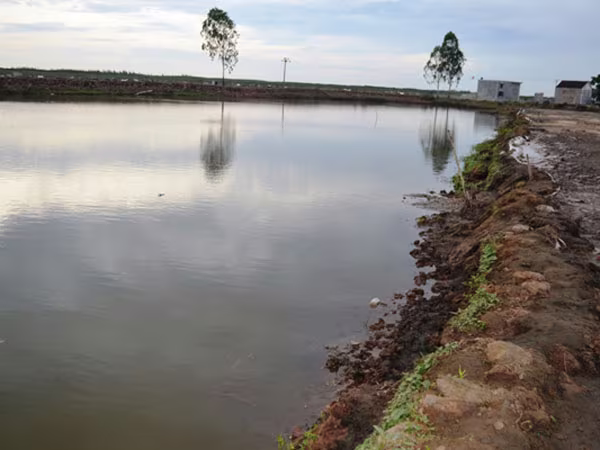 Sảy chân rơi xuống ao tôm, hai anh em họ đuối nước thương tâm ảnh 1 Sảy chân rơi xuống ao tôm, hai anh em họ đuối nước thương tâm ảnh 1