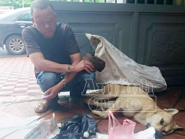 Hạ độc chó bằng cyanua, đem đi tiêu thụ thì "đụng" 141 ảnh 1 Hạ độc chó bằng cyanua, đem đi tiêu thụ thì "đụng" 141 ảnh 1