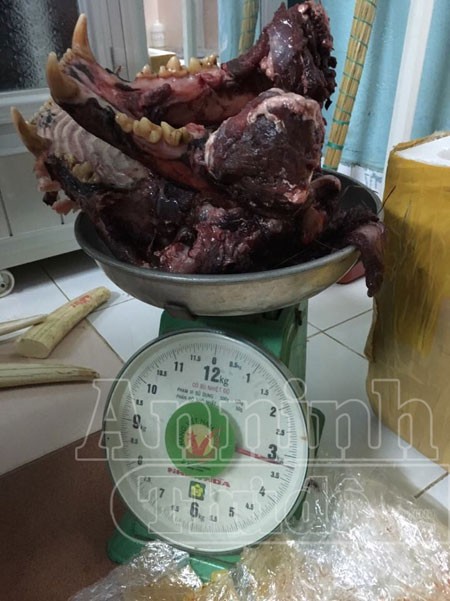 Thêm một thanh niên rao bán hổ, gấu công khai trên facebook ảnh 4 Thêm một thanh niên rao bán hổ, gấu công khai trên facebook ảnh 4