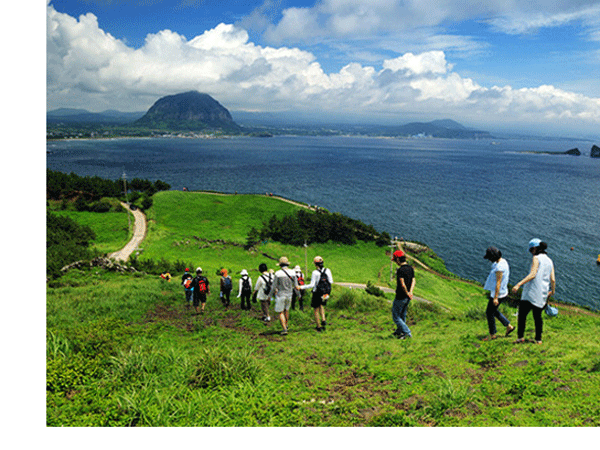 Audio 17-1-2016: Hàn Quốc tìm kiếm 50 du khách Việt Nam "biến mất" ở đảo Cheju ảnh 1