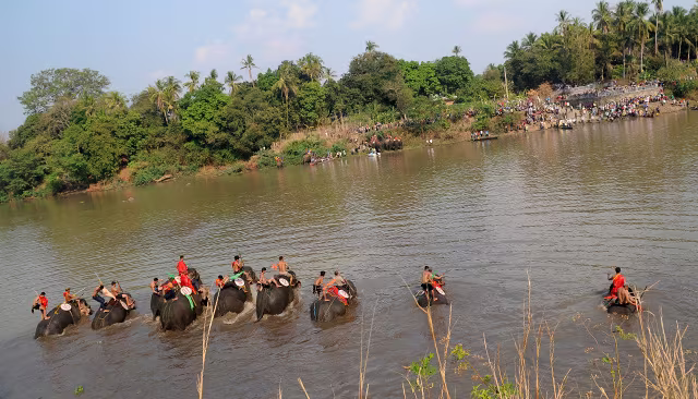 Hấp dẫn cuộc thi bơi dành cho voi trên dòng sông Sêrêpốc ảnh 2 Hấp dẫn cuộc thi bơi dành cho voi trên dòng sông Sêrêpốc ảnh 2