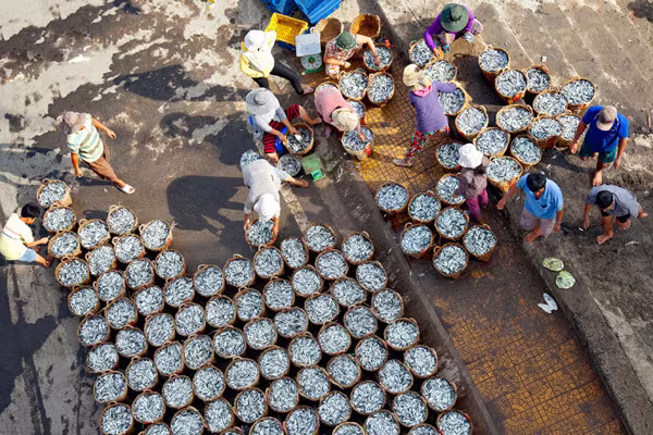 Ảnh đẹp nức lòng về Hà Nội-Huế-TP.HCM ảnh 11 Ảnh đẹp nức lòng về Hà Nội-Huế-TP.HCM ảnh 11