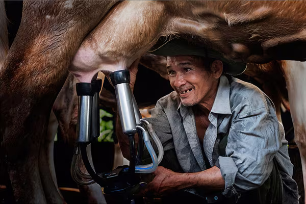 Ảnh đẹp nức lòng về Hà Nội-Huế-TP.HCM ảnh 3 Ảnh đẹp nức lòng về Hà Nội-Huế-TP.HCM ảnh 3