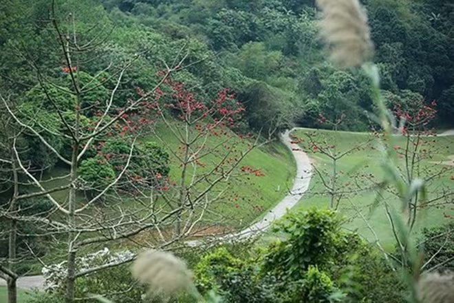 "Đáo xuân 9" đã được Sở VH-TT&DL Hòa Bình cấp phép biểu diễn ảnh 1 "Đáo xuân 9" đã được Sở VH-TT&DL Hòa Bình cấp phép biểu diễn ảnh 1