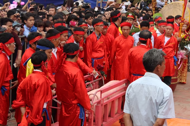 Người dân hò reo khi xem chém lợn ở Ném Thượng ảnh 11