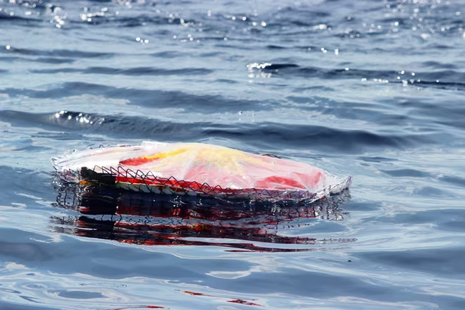 Xúc động Lễ tưởng niệm các chiến sĩ hy sinh ở Trường Sa ảnh 8 Xúc động Lễ tưởng niệm các chiến sĩ hy sinh ở Trường Sa ảnh 8