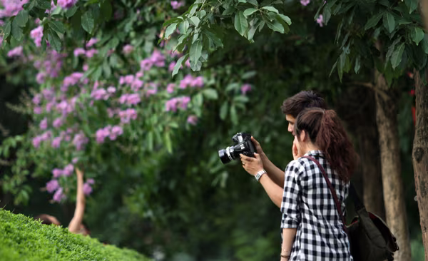 Hà Nội vào hè với sắc tím bằng lăng, đỏ phượng vĩ ảnh 6 Hà Nội vào hè với sắc tím bằng lăng, đỏ phượng vĩ ảnh 6