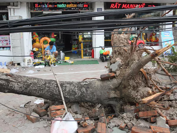Đường phố Hà Nội một ngày sau giông lốc kinh hoàng ảnh 12