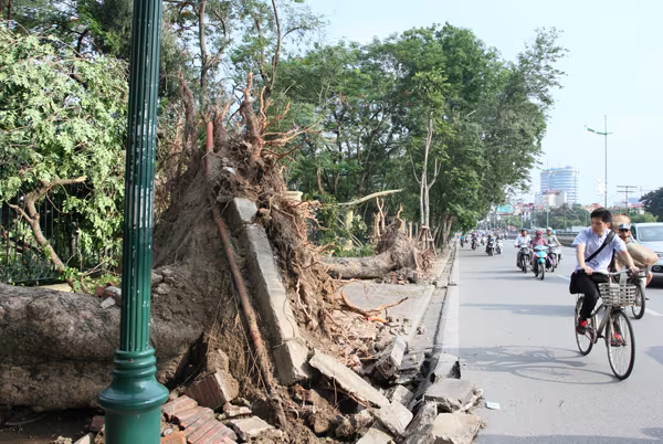 Đường phố Hà Nội một ngày sau giông lốc kinh hoàng ảnh 5