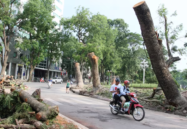 Đường phố Hà Nội một ngày sau giông lốc kinh hoàng ảnh 2