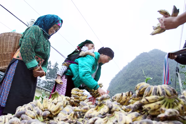 Du khách đổ xô về "thiên đường hoa tam giác mạch" ảnh 19