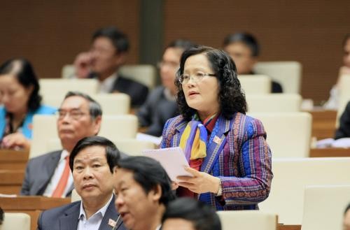 Quốc hội nhất trí cấp thị thực 1 năm cho công dân Hoa Kỳ vào Việt Nam ảnh 2 Quốc hội nhất trí cấp thị thực 1 năm cho công dân Hoa Kỳ vào Việt Nam ảnh 2