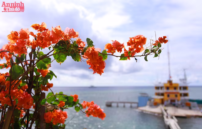 Vẻ đẹp đảo Tiên Nữ - nơi đón bình minh đầu tiên Việt Nam ảnh 7