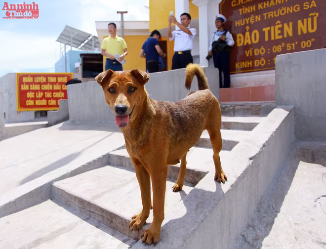 Vẻ đẹp đảo Tiên Nữ - nơi đón bình minh đầu tiên Việt Nam ảnh 3