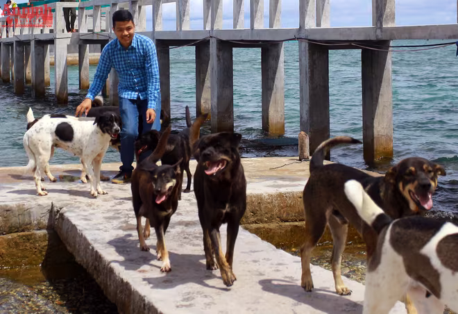 Vẻ đẹp đảo Tiên Nữ - nơi đón bình minh đầu tiên Việt Nam ảnh 4