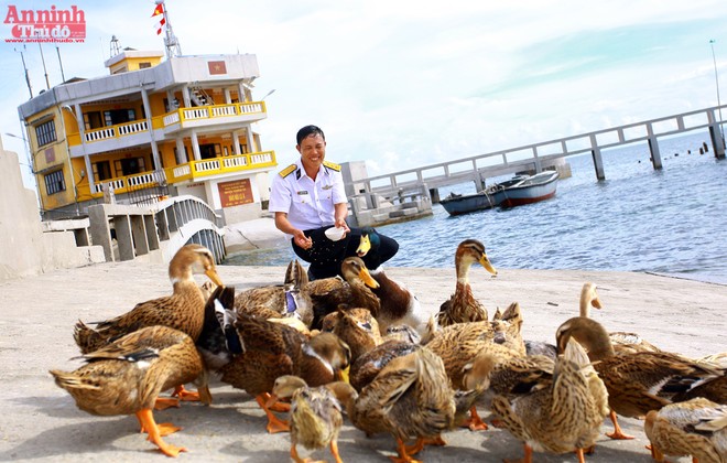 Rộn ràng âm thanh cuộc sống trên đảo Núi Le ảnh 4 Rộn ràng âm thanh cuộc sống trên đảo Núi Le ảnh 4