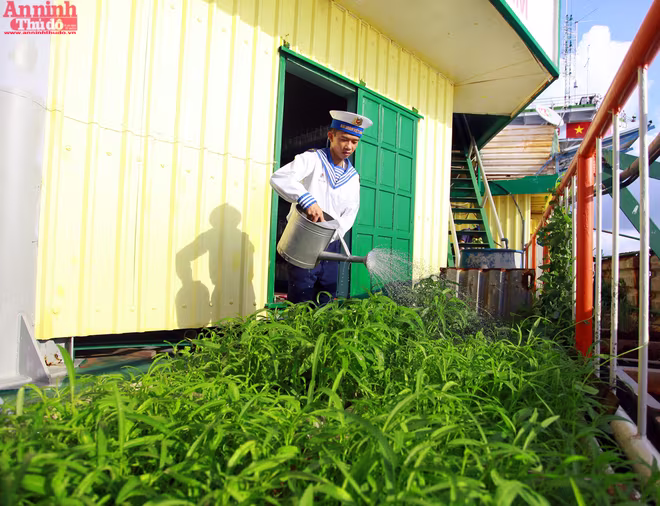 Kỳ vĩ "lâu đài trên biển" mang dấu chủ quyền Việt Nam ảnh 6 Kỳ vĩ "lâu đài trên biển" mang dấu chủ quyền Việt Nam ảnh 6