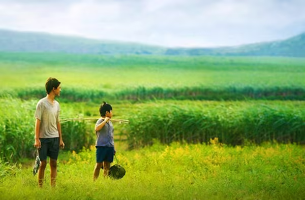 Lý do khiến "Cánh Diều Vàng" lùi thời điểm tổ chức ảnh 2 Lý do khiến "Cánh Diều Vàng" lùi thời điểm tổ chức ảnh 2