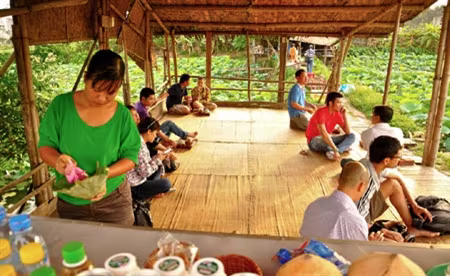 Tao nhã thú trà sen bên hồ trong sương sớm ảnh 7