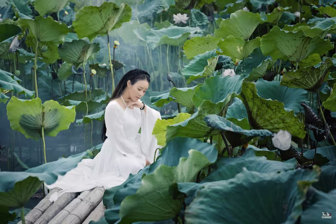 Ca sĩ Hoa Trần "cover" bài "hit" của Hoài Lâm theo phong cách cổ trang ảnh 1 Ca sĩ Hoa Trần "cover" bài "hit" của Hoài Lâm theo phong cách cổ trang ảnh 1