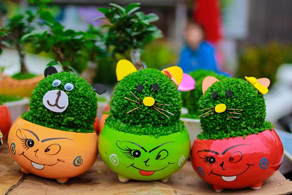 Những sắc hoa Tết ngập tràn phố phường Hà Nội ảnh 9 Những sắc hoa Tết ngập tràn phố phường Hà Nội ảnh 9