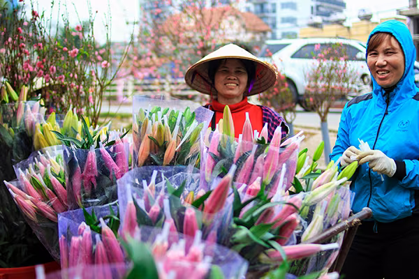 Những sắc hoa Tết ngập tràn phố phường Hà Nội ảnh 8 Những sắc hoa Tết ngập tràn phố phường Hà Nội ảnh 8