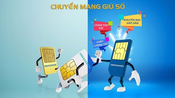 Đường dây nóng tiếp nhận khiếu nại về chuyển mạng giữ số chính thức hoạt động ảnh 1 Đường dây nóng tiếp nhận khiếu nại về chuyển mạng giữ số chính thức hoạt động ảnh 1