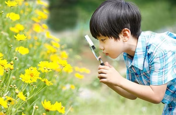 Thoát khỏi những "hộp diêm" ngột ngạt, mẹ cho con căn hộ xanh nơi phố... ảnh 1 Thoát khỏi những "hộp diêm" ngột ngạt, mẹ cho con căn hộ xanh nơi phố... ảnh 1