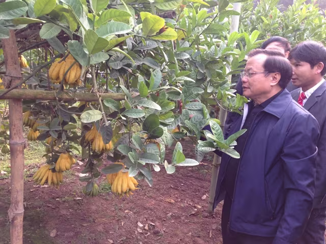 Xây dựng nông thôn mới cần gắn với môi trường bền vững ảnh 2 Xây dựng nông thôn mới cần gắn với môi trường bền vững ảnh 2
