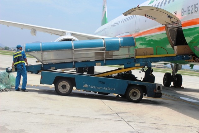 Bắt giữ đối tượng trộm cắp hàng hóa ký gửi tại sân bay Nội Bài ảnh 1 Bắt giữ đối tượng trộm cắp hàng hóa ký gửi tại sân bay Nội Bài ảnh 1