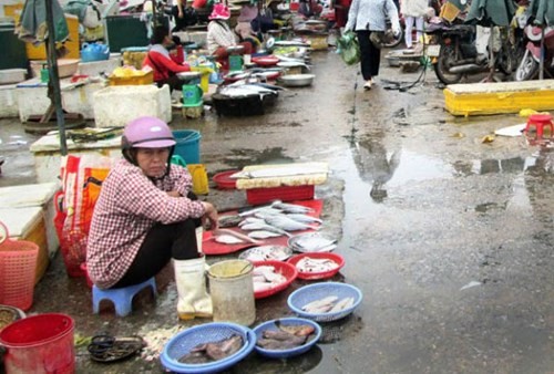 Phải lấy mẫu kiểm tra, xác nhận cá an toàn trước khi bán ảnh 1 Phải lấy mẫu kiểm tra, xác nhận cá an toàn trước khi bán ảnh 1