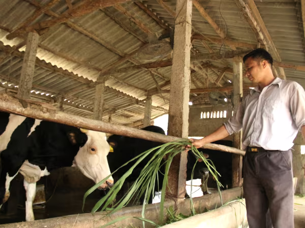 Từ vài triệu đồng vốn vay dựng cơ ngơi bạc tỷ ảnh 1