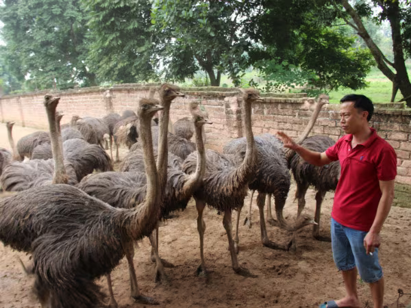 Từ vài triệu đồng vốn vay dựng cơ ngơi bạc tỷ ảnh 3